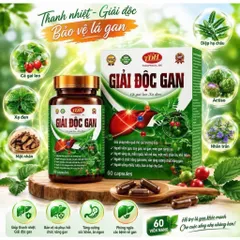 Giải độc gan Cà Gai leo Xạ Đen TDH Bổ gan cà gai leo giúp mát gan ,hạ men gan, tăng cường chức năng gan gan nhiễm mỡ, m