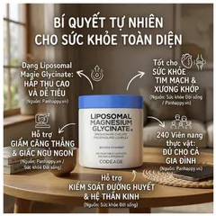 Viên Bổ Sung Magie Codeage Liposomal Magnesium Glycinate 240 Viên - Hỗ Trợ Cơ Bắp, Thần Kinh, Hệ Miễn Dịch, Thuần Chay USA  832956