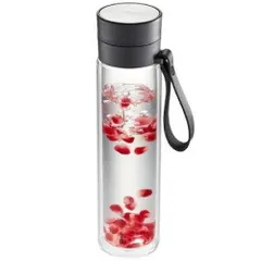 Bình đựng nước thủy tinh kèm lọc GEFU 12796 Companion 450ml