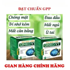 HOẠT HUYẾT T-ĐÌNH GINKO VT -GIÚP TĂNG CƯỜNG TUẦN HOÀN MÁU NÃO-GIẢM ĐAU ĐẦU-HOA MẮT-CHÓNG MẶT-MẤT NGỦ