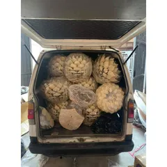 Đèn Gỗ decor trang trí nội thất 038