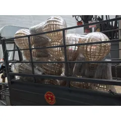 Đèn gỗ đèn quả bóng đèn edison