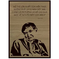 Tranh gỗ câu nói Stephen Hawking