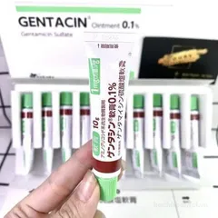 Kem Dưỡng Gentacin Nhật Hỗ Trợ Làm Mờ Sẹo 10g