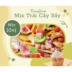 Trái Cây Sấy Giòn Thăng Hoa Mix 10 LOẠI  (Túi Hút Chân Không) | Công Nghệ Sấy Thăng Hoa