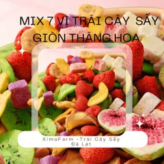 Trái Cây Sấy Giòn Thăng Hoa Mix 10 LOẠI  (Túi Hút Chân Không) | Công Nghệ Sấy Thăng Hoa