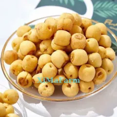 Hạt Sen Sấy Giòn Ăn Liền - Ximafarm