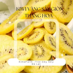 Kiwi Xanh Sấy Giòn Không Đường - Ximafarm