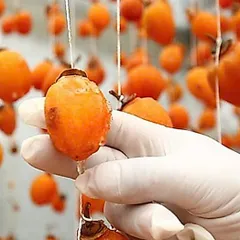 HỒNG TREO GIÓ  , ĐẶC SẢN ĐÀ LẠT - XIMAFARM