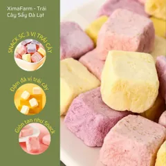 SỮA CHUA SẤY GIÒN MIX 3 VỊ TRÁI CÂY TỰ NHIÊN KHÔNG ĐƯỜNG THƠM NGON BỔ DƯỠNG | ĂN VẶT NHÀ DÂU