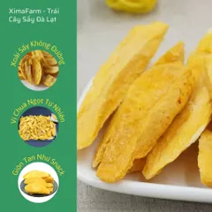 Xoài Sấy Giòn Thăng Hoa Không Đường | Công Nghệ Sấy Thăng Hoa