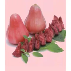 Mận Đỏ An Phước Sấy Dẻo Muối Ớt - Ximafarm