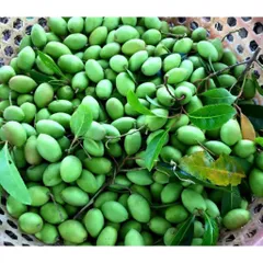 Cà Na Sấy Muối Ớt - Ximafarm
