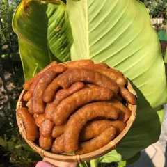 ME DỐT SẤY DẺO ( CHUA NHIỀU) - XIMAFARM