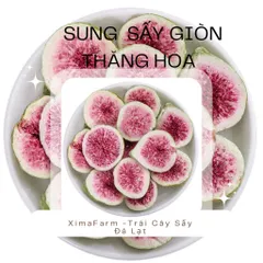 Sung Mỹ Sấy Giòn Túi 100G, 250G ,500G | CÔNG NGHỆ SẤY THĂNG HOA