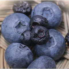 Việt Quất Sấy Dẻo ( Ít Ngọt,Chua Nhiều ) - Ximafarm – Snack Ăn Vặt Healthy – Dried Blueberry