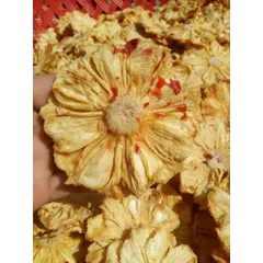 THƠM SẤY DẺO MUỐI ỚT ( dẻo chua cay ) - XIMAFARM