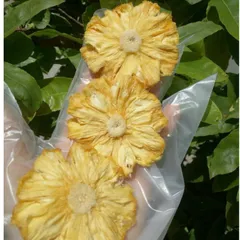THƠM MẬT  SẤY DẺO ( DẺO CHUA NGỌT ) - XIMAFARM
