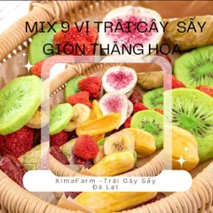 Mix 12 Loại Trái Cây Sấy Giòn Thăng Hoa Giòn Ngon Chua Ngọt | Công Nghệ Sấy Thăng Hoa