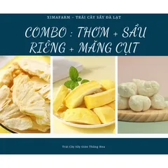 COMBO 3 Túi Trái Cây Sấy Giòn Dâu Đào Sầu Riêng Măng Cụt Kiwi Sung Thơm , Công Nghệ Sấy Thăng Hoa
