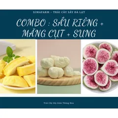 COMBO 3 Túi Trái Cây Sấy Giòn Dâu Đào Sầu Riêng Măng Cụt Kiwi Sung Thơm , Công Nghệ Sấy Thăng Hoa