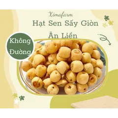 (Túi mini dùng thử) Trái Cây Sấy Giòn Thăng Hoa Không Đường Các Loại - XIMAFARM