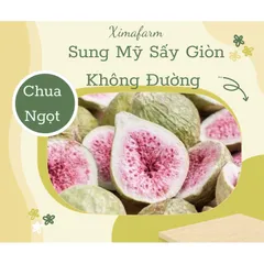 (Túi mini dùng thử) Trái Cây Sấy Giòn Thăng Hoa Không Đường Các Loại - XIMAFARM