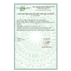 Siêu tinh chất tảo tươi Pháp Phyco VitC Phycocyanine 10ml x 14 ống - Bản nâng cấp
