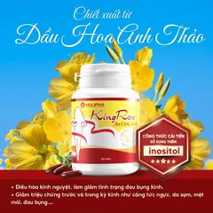 TPBVSK Mua 2 Tặng 1 - Kingrose Hỗ Trợ Điều Hòa Kinh Nguyêt, Hết Chậm Kinh, Giảm Rong Kinh, Sinh Lý Nữ - Tặng Túi Chườm 835103