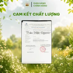 Bột Mè Đen Hạt Sen Mix Đậu Đen Gạo Lứt Đỏ  (Hũ 500g )Thức Uống Bổ Dưỡng Cho Tóc Và Giấc Ngủ