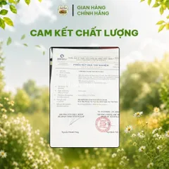Tinh Bột Nghệ Gạo Lứt Đỏ [Hộp 500g] - Tốt Cho Dạ Dày & Giúp Sáng Da là