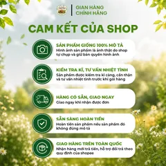 Combo 2 Hũ Sữa Hạt Lợi Sữa Dinh Dưỡng 1kg - Nhân Đôi Lợi Sữa Về Dáng Nhanh Cho Mẹ