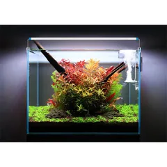 Đèn Máng Thủy Sinh WRGB HBPRO 6 Hàng LED Siêu Sáng 22W–55W Cho Bể Cá 30–115cm, Đèn Máng Nhựa Bể Cá