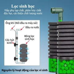 Lọc Sủi Qanvee QS-100A QS-200A Lọc Vi Sinh Bio Đôi - 2 Ngăn Vật Liệu Lọc Cho Bể Cá Tép Cá Con
