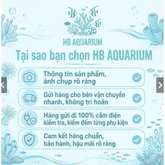 Lọc Váng SUNSUN JY-02 JY-03 – Máy Hút Váng Mặt Nước Bể Cá, Lọc Váng Hồ Thủy Sinh, Cá Cảnh