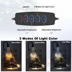 Đèn Rọi Mini 3W Cho Bể Cá Để Bàn, Chỉnh Tiêu Cự, 3 Chế Độ Màu, Đèn Kẹp Nhỏ Gọn, Ánh Sáng Tập Trung