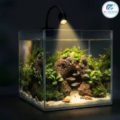 Đèn Rọi Mini 3W Cho Bể Cá Để Bàn, Chỉnh Tiêu Cự, 3 Chế Độ Màu, Đèn Kẹp Nhỏ Gọn, Ánh Sáng Tập Trung