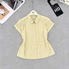 Áo sơ mi công sở HD - Thiết kế tay ngắn, màu sắc trẻ trung, phong cách thanh lịch - May0915