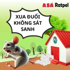 Tinh dầu Xua đuổi Chuột ASA Ratpel – Xịt đuổi chuột thiên nhiên, bảo vệ nhà ở, xe hơi, đồ điện 835930