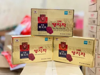 Trà Linh Chi Insam Hồng Sâm – Thức Uống Bổ Dưỡng, Giải Độc Tuyệt Vời Cho Sức Khỏe 836143