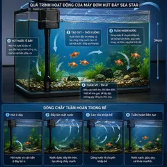 Máy Bơm Hút Đáy Bể Cá Đa Năng Sea Star, Hút Cặn, Lọc Nước, Tạo Oxy, Hoạt Động Êm Ái, Siêu Mạnh, Hàng Chính Hãng