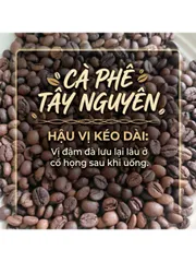 1KG Cà Phê Nguyên Chất Robusta Rang Mộc Tây Nguyên – BAZAN COFFEE – Đậm Vị, Thơm Đặc Trưng