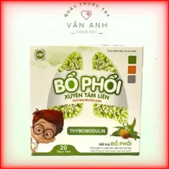  Bổ phổi Xuyên Tâm Liên - Hỗ trợ bổ phổi, giảm ho, giảm đờm, giảm đau rát họng (Hộp 20 ống)