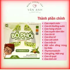  Bổ phổi Xuyên Tâm Liên - Hỗ trợ bổ phổi, giảm ho, giảm đờm, giảm đau rát họng (Hộp 20 ống)