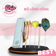 Dụng cụ bộ lông công thư giãn dưỡng sinh trung hoa. FULL hộp bộ lông công dùng trong Spa