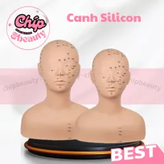 Đầu canh học massage cổ vai gáy (Có điểm bấm huyệt). Canh Lưng Silicon Hàng Loại 1