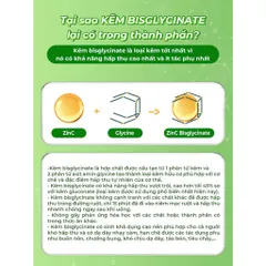 Kẹo mút bổ sung Kẽm hữu cơ hỗ trợ bé ăn ngon miệng, hấp thu dinh dưỡng, tăng đề kháng