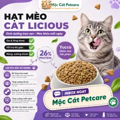? HẠT MÈO CAT LICIOUS VỊ CÁ BIỂN 1KG–DA LÔNG KHỎE MẠNH - TỐT CHO MẮT - XƯƠNG RĂNG CHẮC KHỎE - DINH DƯỠNG CÂN BẰNG