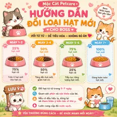 Hạt Mèo Care Cat 1KG –Hàn Quốc – Dinh Dưỡng Toàn Diện Cho Mèo- Hỗ Trợ Tiêu Hóa, Da & Lông Khỏe