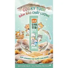 <100 THANH>SÚP THƯỞNG SHIZUKA CHO MÈO – KÍCH THÍCH ĂN NGON, BỔ SUNG DINH DƯỠNG TOÀN DIỆN